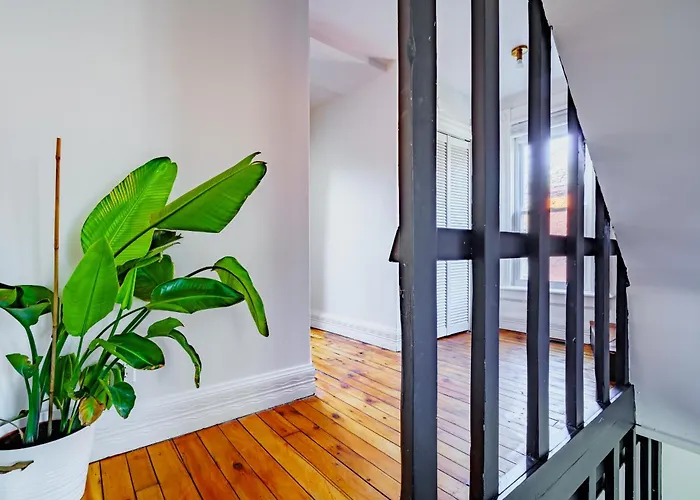 Сasa de vacaciones Jungle House Luxury - Downtown & Short North