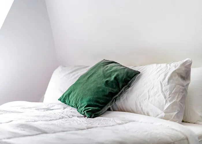 Сasa de vacaciones Jungle House Luxury - Downtown & Short North